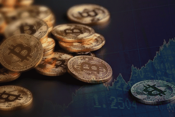 Catizen总玩家基数超过2600万，其中Telegram Premium用户突破200万